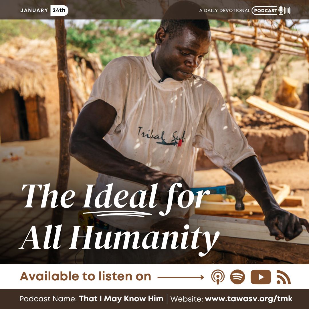 The Ideal for All Humanity, January 24 episode artwork