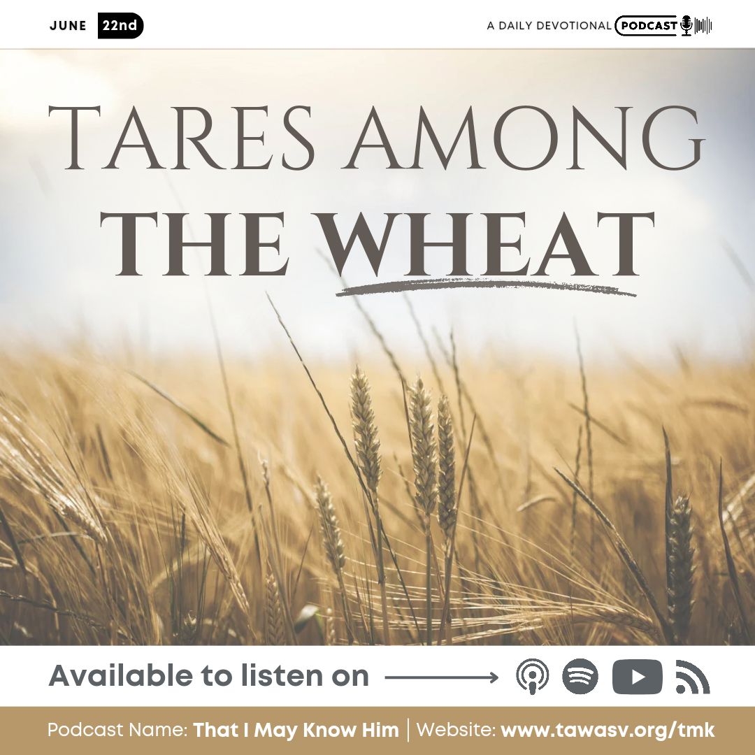 Tares Among the Wheat, June 22 episode artwork