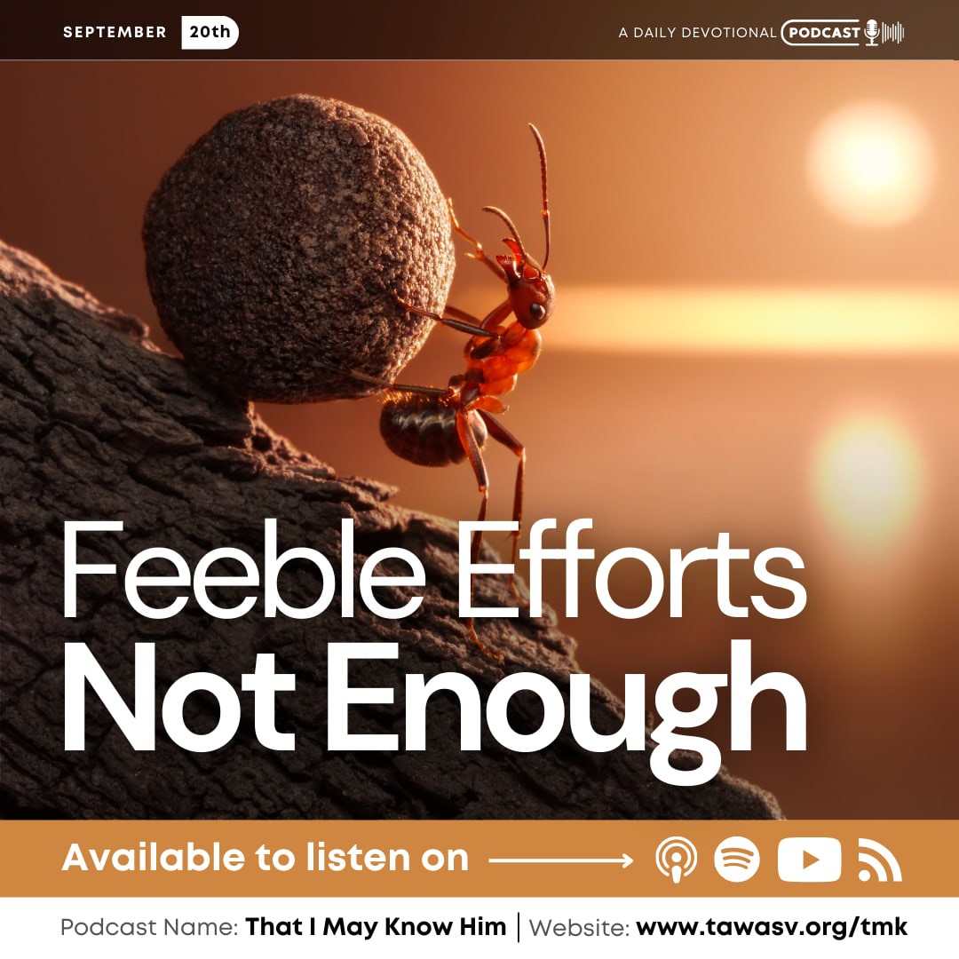 Feeble Efforts Not Enough, September 20 episode artwork