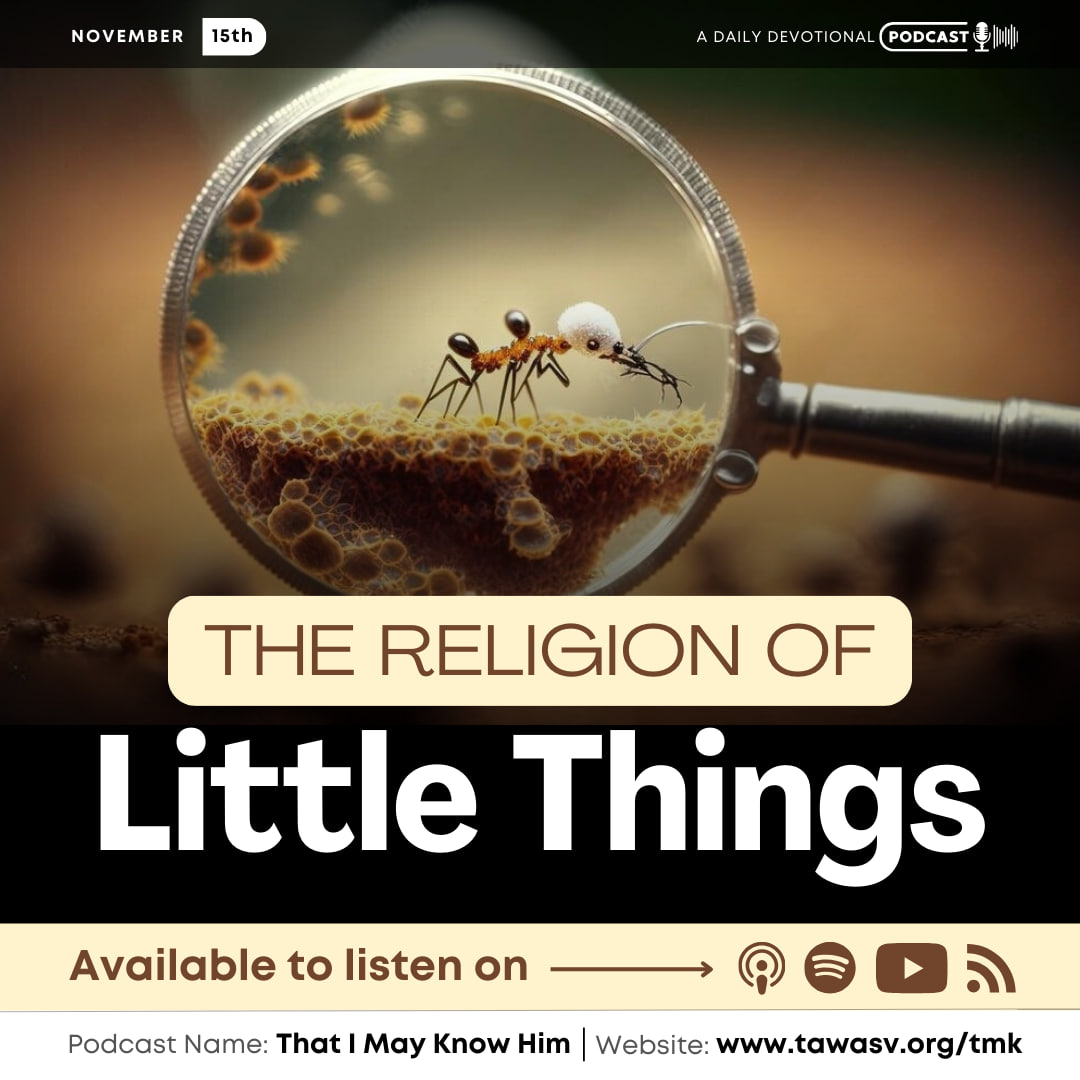 The Religion of Little Things, November 15 episode artwork